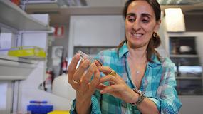 Picture of [es] Una investigadora del CSIC descubre que el gusano de la cera come plstico