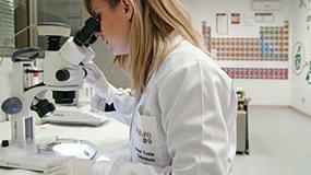 Foto de La UPV elige a Idai Nature como miembro del Consejo Asesor de la Escuela de Ingeniera Agronmica