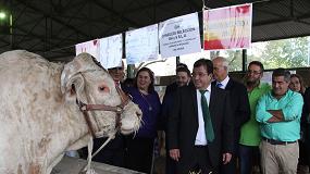 Fotografia de [es] Ms de 550 expositores y 2.000 cabezas de ganado en la Feria de Zafra, abierta hasta el 4 de octubre