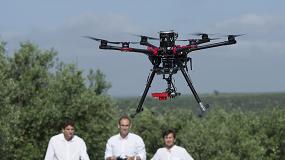 Foto de Prcticas en olivar de los futuros pilotos profesionales de dron