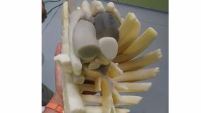 Foto de Andaltec fabrica un modelo 3D para facilitar la operacin del tumor en el pecho de una nia