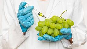 Fotografia de [es] Control de calidad de la uva mediante visin avanzada