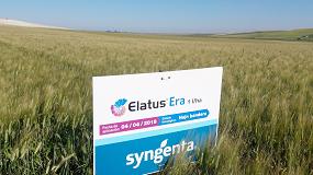 Foto de Syngenta muestra en campo los resultados de su fungicida Elatus Era