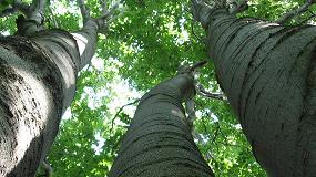 Foto de Antalis apoya la iniciativa Act4nature y refuerza su compromiso con la biodiversidad