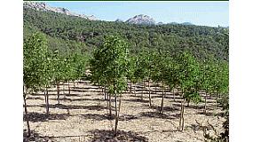 Picture of [es] Frondosas nobles, una alternativa forestal interesante y de futuro