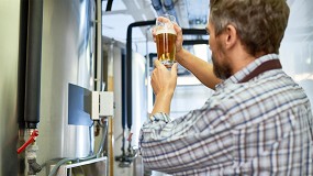 Foto de El CSIC abre la puerta a la mejora de la eficiencia en la fermentacin de cerveza lager