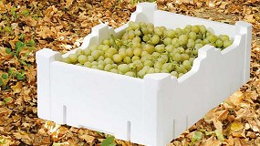 Fotografia de [es] Alargar la vida de la fruta con envases EPS, la propuesta de Knauf Industries en Postcosecha