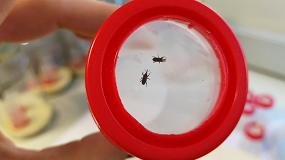 Foto de Un envase que evita plagas de insectos en alimentos secos