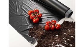 Foto de Un suelo ms frtil para producir ms tomates y con mejor sabor