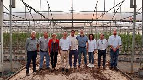 Foto de Tecnova estrecha lazos de colaboración con el sector agrícola siciliano