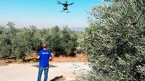 Foto de Resultados del Grupo Operativo de Agricultura de Precisión con Drones Aplicado al Olivar