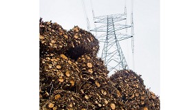Foto de La nueva orden sobre parámetros retributivos para instalaciones de energía renovable favorece la biomasa eléctrica