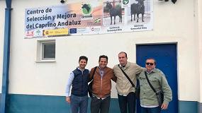 Foto de La raza Murciano-Granadina llega a Brasil con la exportación de 1.200 dosis seminales