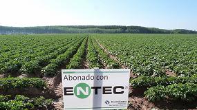 Foto de Fertilizacin de precisin en maz y patata con el nitrgeno estabilizado de ENTEC