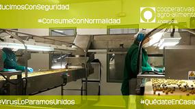 Fotografia de [es] Cooperativas Andaluca lanza la campaa 'Producimos con seguridad, consume con normalidad'