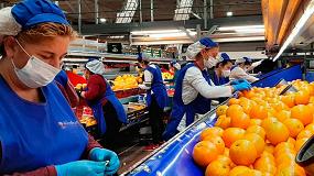Foto de Cooperativas Agro-alimentarias de Andaluca urge medidas econmicas para el sector primario
