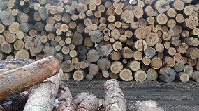 Foto de El impacto de COVID-19 en el mercado europeo de la madera