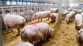 Foto de Los productores de porcino elaboran una gua para la prevencin del COVID-19