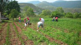 Foto de Prorrogadas hasta el 30-09 las medidas extraordinarias para promover el empleo temporal agrario