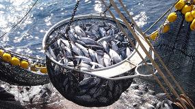 Foto de El origen sostenible de los productos pesqueros supera por vez primera al precio como factor de compra entre los consumidores europeos