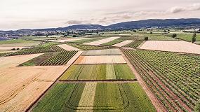Foto de ARAG-ASAJA difunde el potencial de las nuevas variedades de cereal en La Rioja