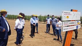 Foto de Planas visita una plantación de olivar intensivo donde comprueba el avance de la I+D+i en el sector