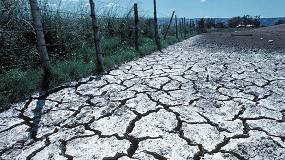 Foto de La salinizacin de los suelos agrcolas, una amenaza que ya afecta al 20% de la tierra cultivada