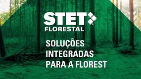 Foto de STET (vdeo)