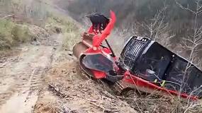 Foto de Solues para a Floresta (vdeo)