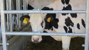 Foto de El INIA desarrolla un novedoso sistema para evaluar la calidad embrionaria en bovino