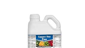 Foto de Copper Key Flow (ficha de produto)