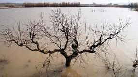 Foto de Alerta temprana de sequías, incendios e inundaciones por el cambio climático
