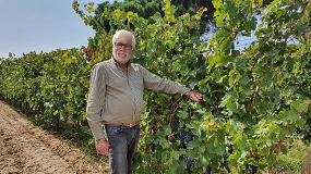 Foto de Bacalh�a estima que 2020 � um ano vitivin�cola de produ��o m�dia-alta