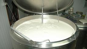 Foto de Castilla-La Mancha tiene un precio de leche de oveja un 9,7% más alto que Castilla y León