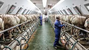 Foto de Se acelera el descenso de producción en ovino de leche con un 6,4% interanual