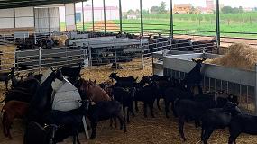 Foto de El número de ganaderos de caprino de leche cae un 5,4% interanual en el mes de julio