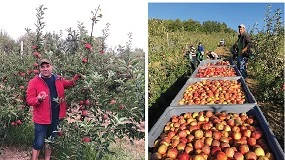 Foto de Utilização do Nutrimais potencia produção de maçã e de pêra