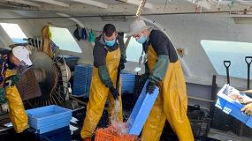 Foto de El sector pesquero insiste en la reduccin del IVA del pescado para aliviar la crisis