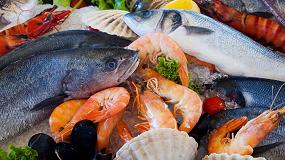 Foto de Los alimentos procedentes del mar representarn el 25% de la protena necesaria para alimentar a la poblacin mundial en 2050