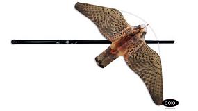 Foto de Falc�o Voador (ficha de produto)