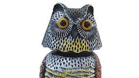 Foto de Coruja Espanta Pombos (ficha de produto)