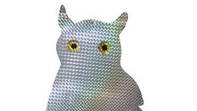 Foto de Coruja Hologr�fica (ficha de produto)