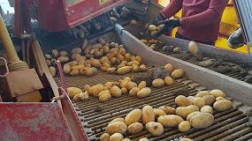 Foto de Udapa valora de forma positiva la campaña de patata en Álava: calidad y buenos rendimientos