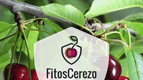 Foto de El GO FITOSCEREZO profundiza en el control integrado de plagas en el cultivo del cerezo