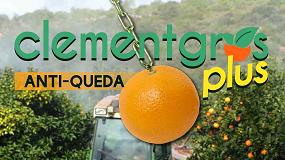 Foto de Clementgros Plus (ficha de produto)