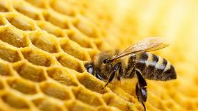 Foto de HoneyInstruments crea una bscula para colmenas con clula de carga de la empresa HBK