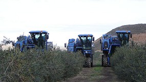 Foto de Trujal Hacienda Ortigosa como muestra de la calidad del aceite de oliva con cosecha mecanizada