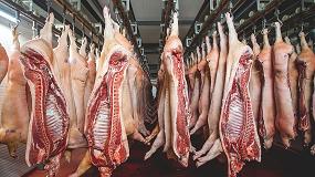 Foto de Los sectores porcino y avícola crecen en su producción de carne en el presente año