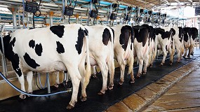 Foto de Denuncian “presiones” de las industrias lácteas para firmar contratos anuales con descenso de precios