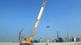 Foto de O.Rentals muestra su satisfaccin con los productos y con los servicios de Liebherr